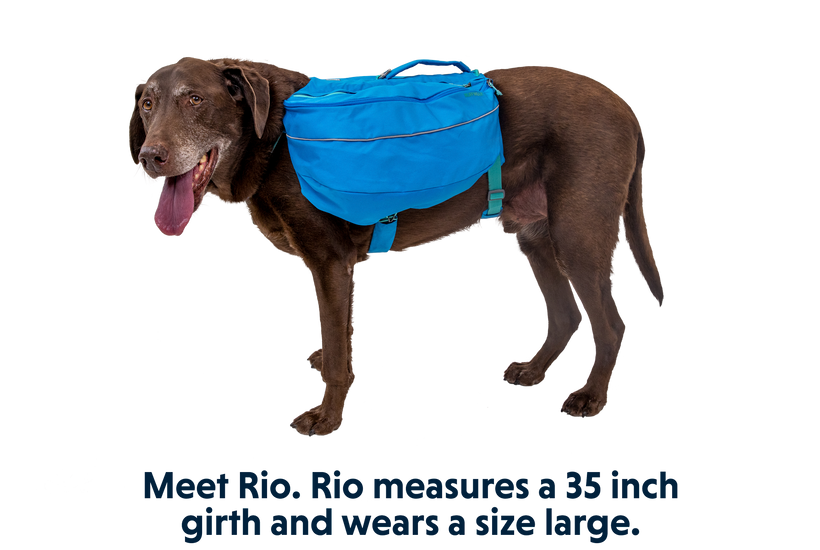 Ruffwear Approach Dog Backpack OUTLET