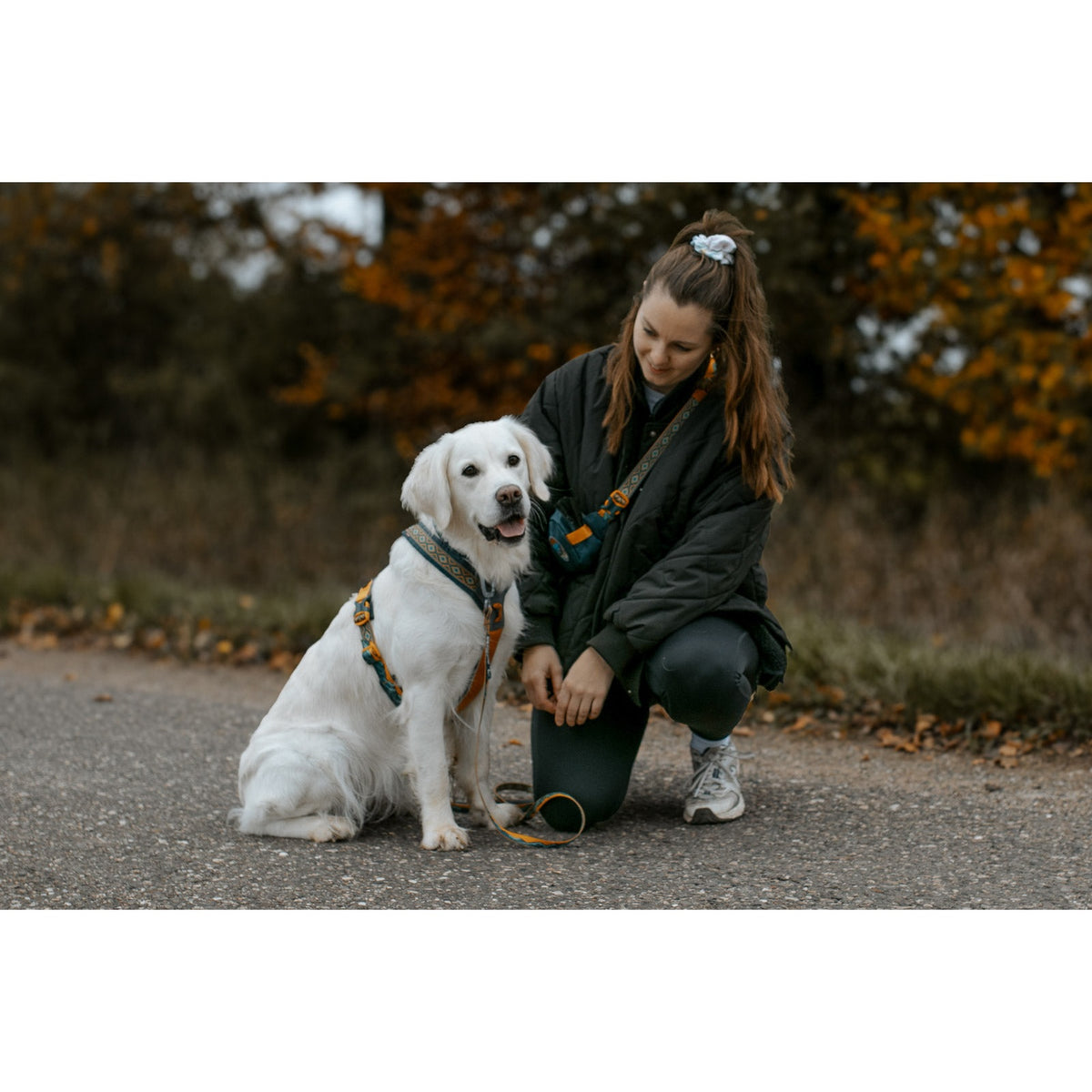 Non-stop dogwear Line harness 5.0 Rachel Pohl edition
