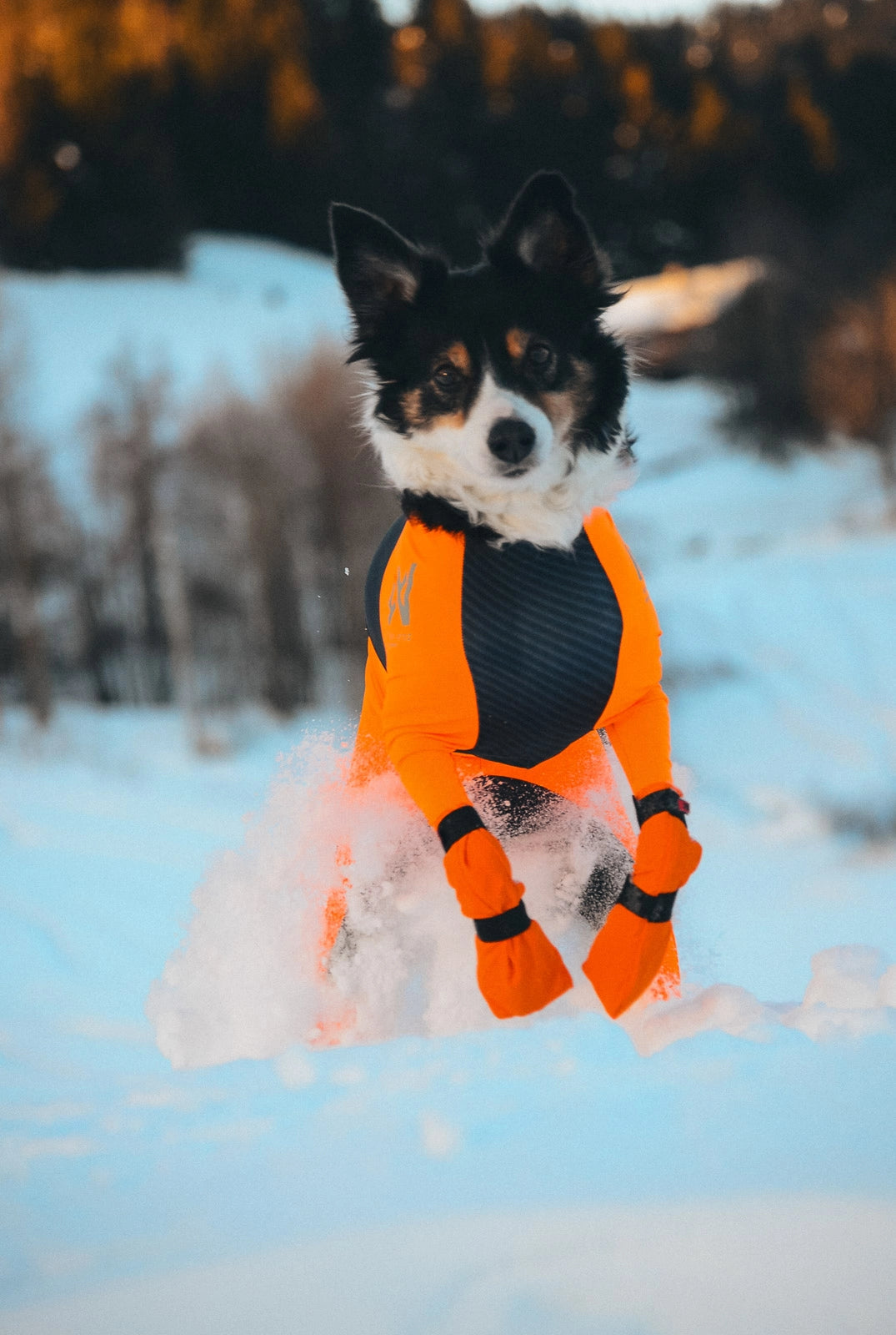 Non-stop dogwear Contact Bootie High