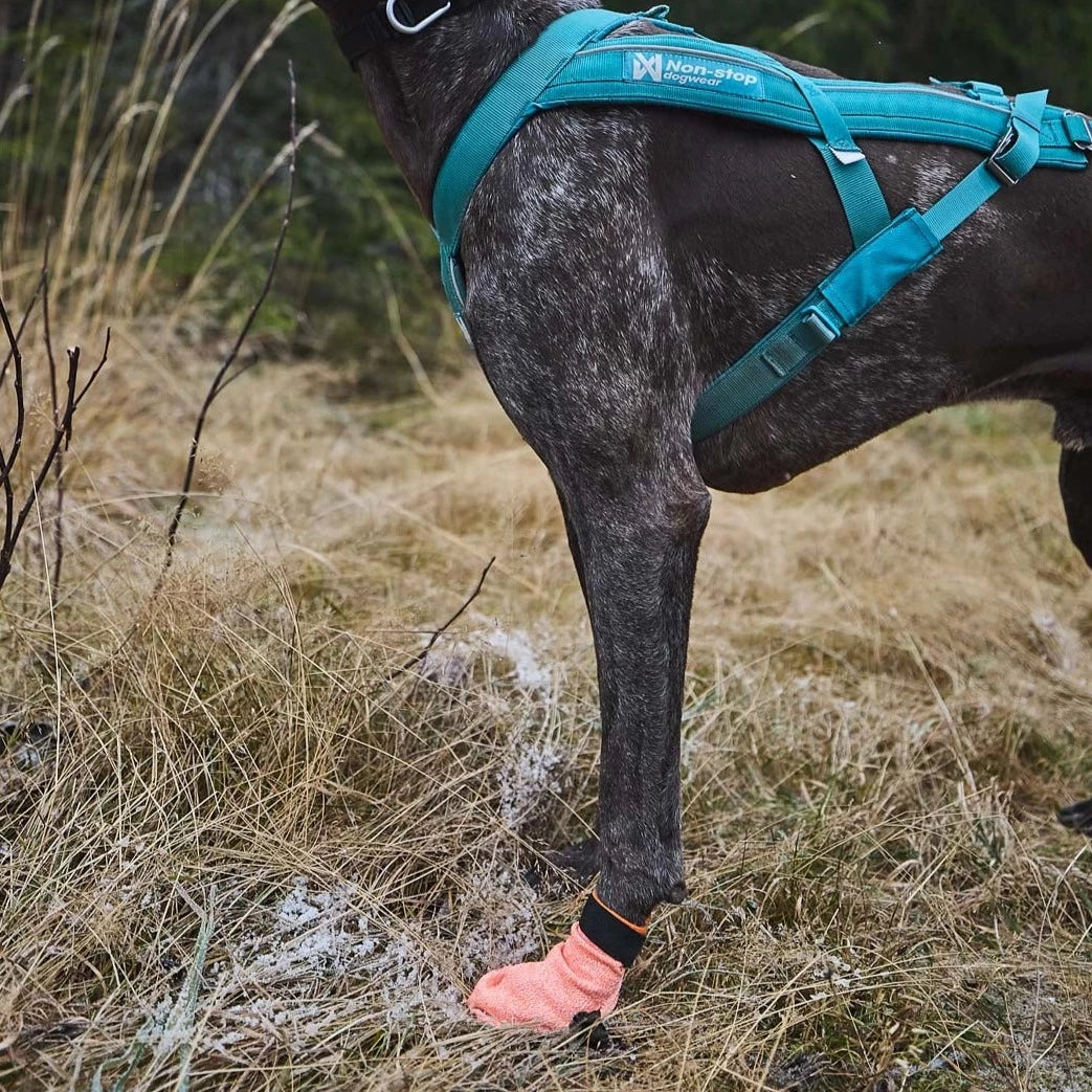 Non-stop dogwear Protector Light Socks, 4 kpl