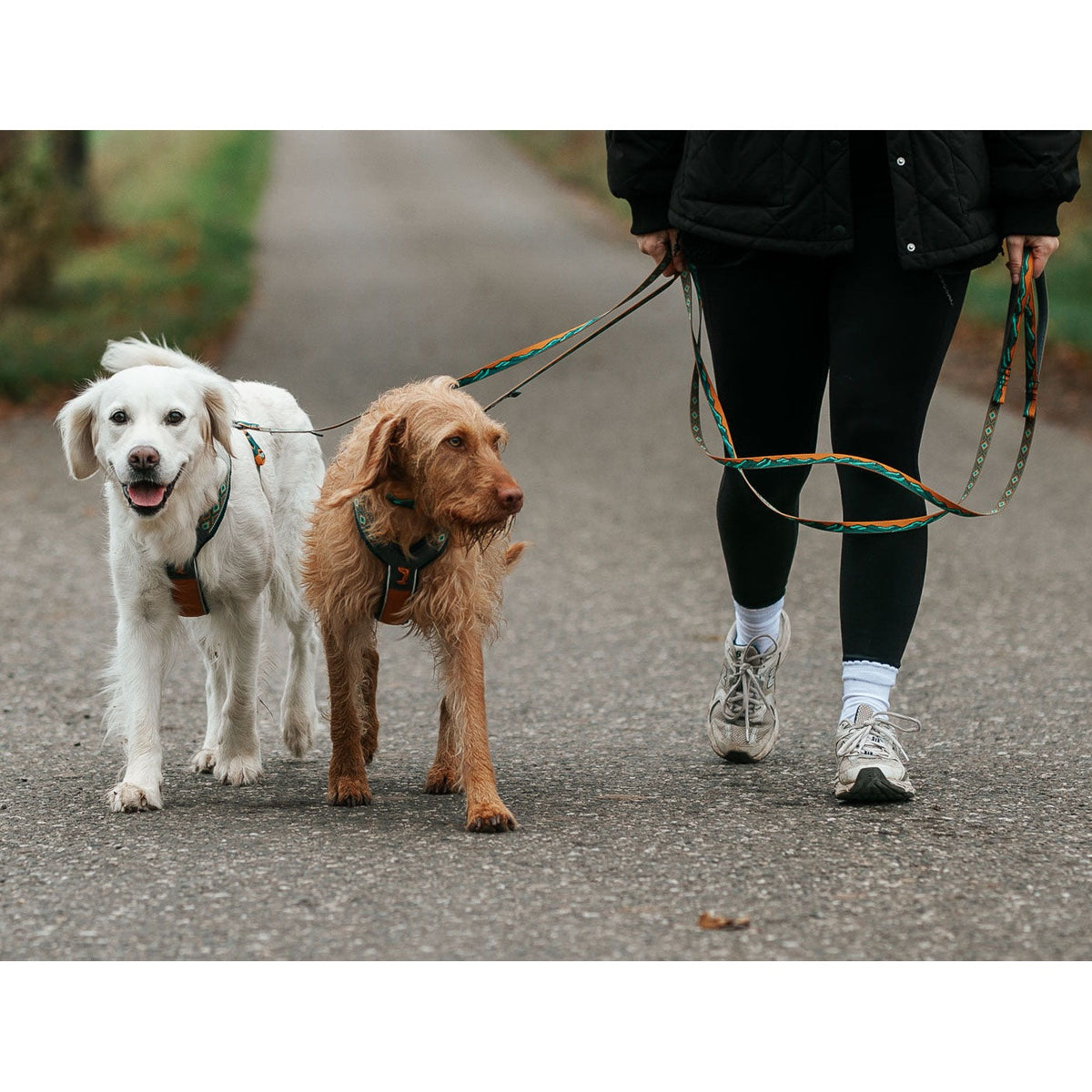 Non-stop dogwear Rachel Pohl Teal Bundle