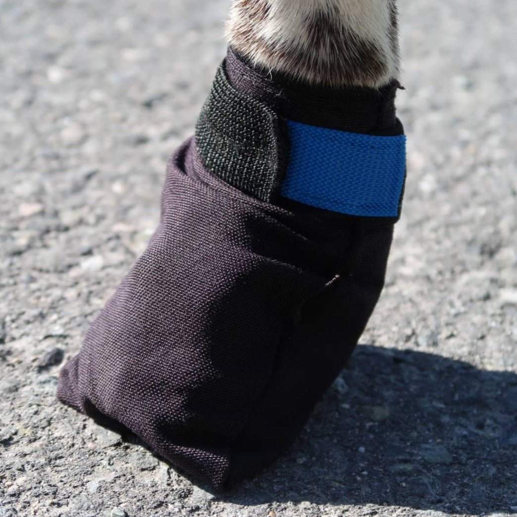 V.I.P. dogwear Finnmark Booties, 4 kpl