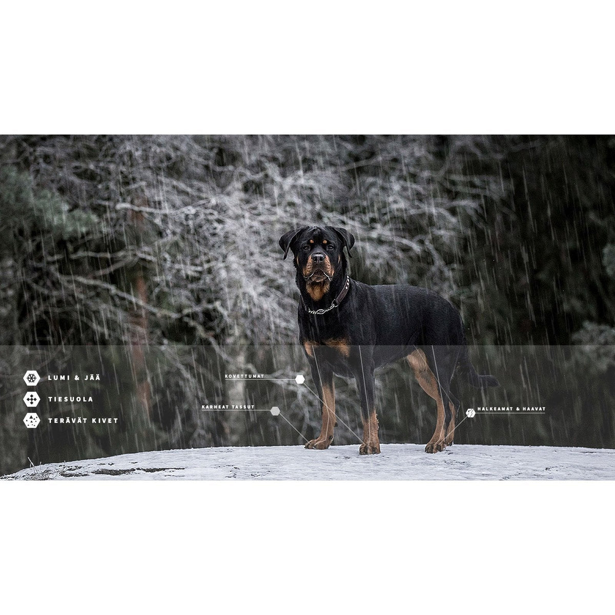 LovePaws Wanted Tassuvaha 40 ml