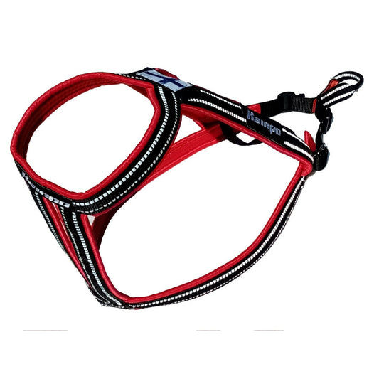 Kainpo Sprint Harness