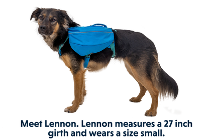 Ruffwear Approach Dog Backpack OUTLET