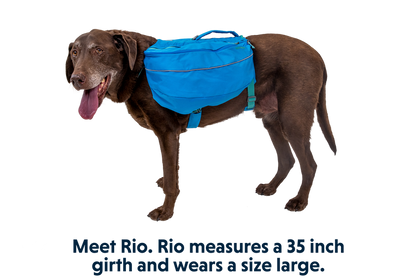Ruffwear Approach Dog Backpack OUTLET