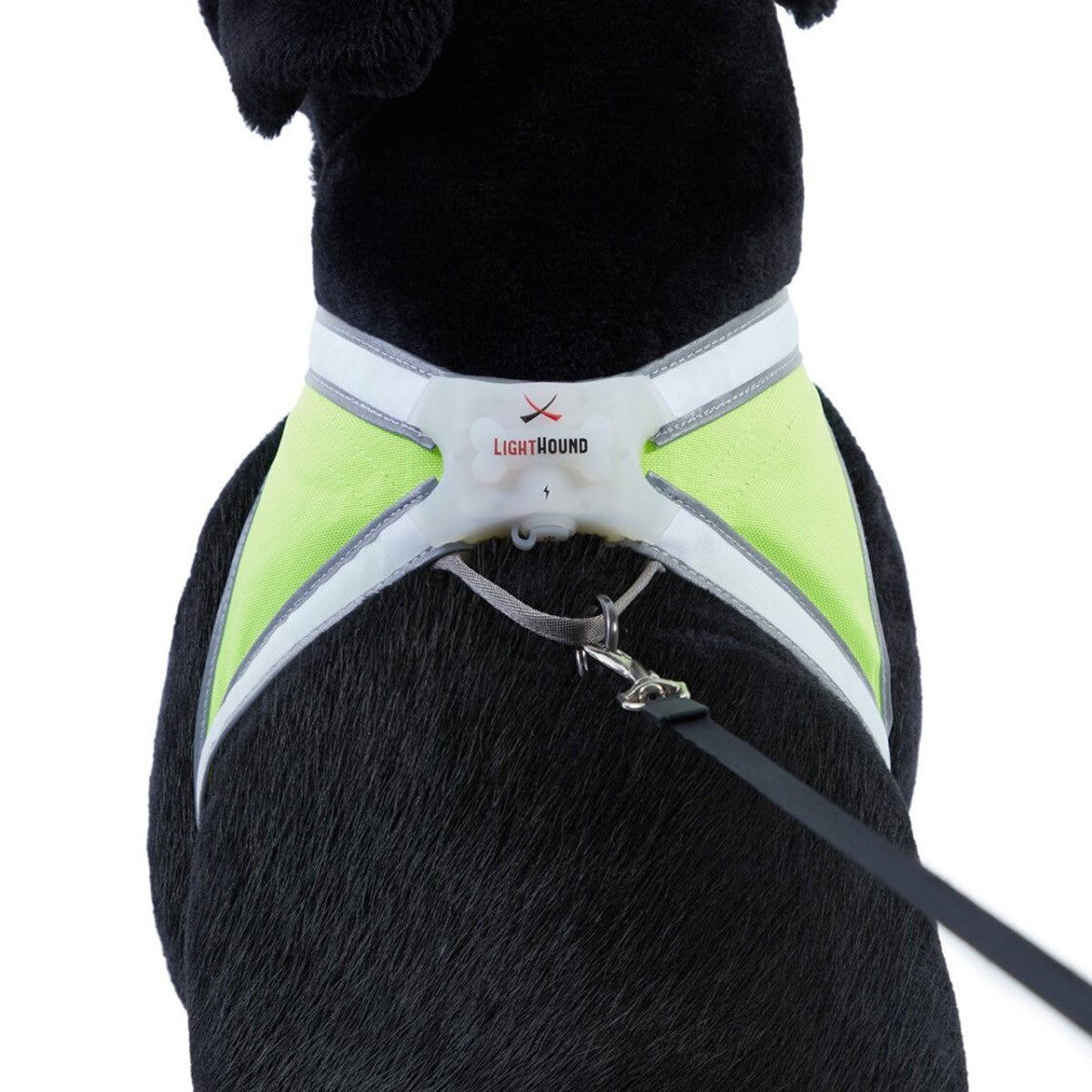 Noxgear Lighthound