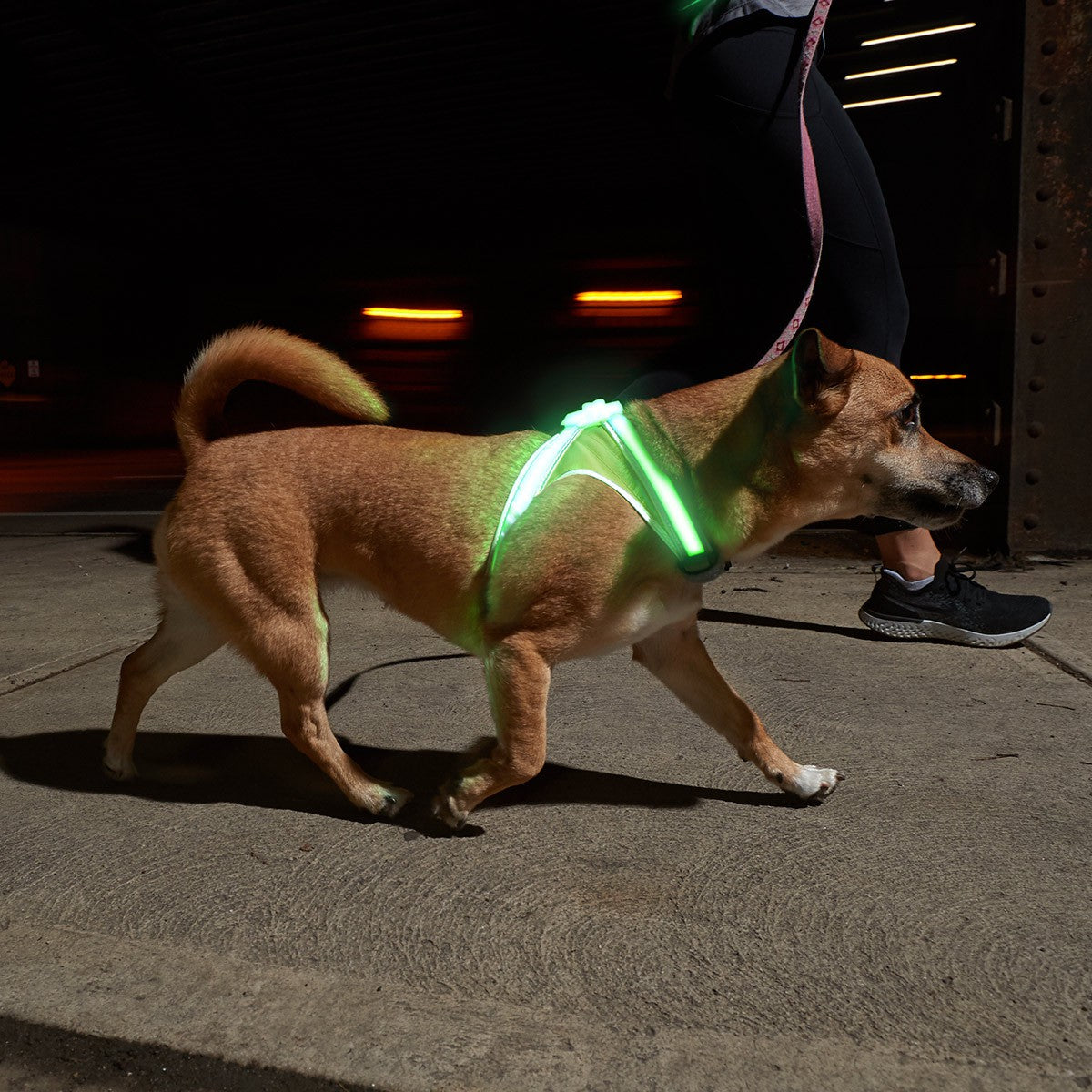 Noxgear Lighthound