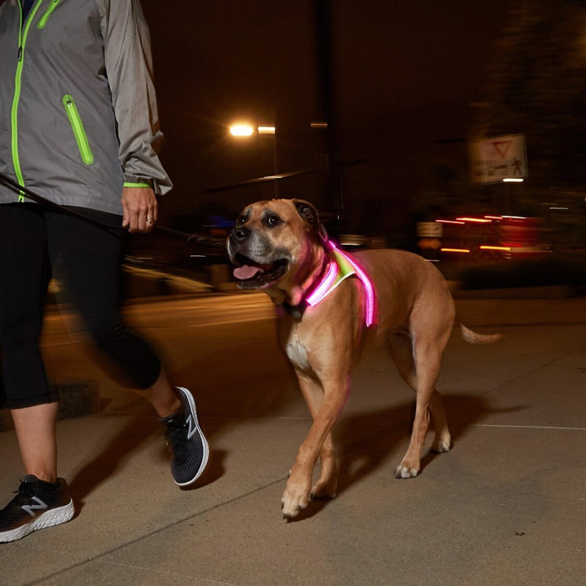 Noxgear Lighthound
