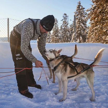 Non-stop dogwear Arctic Buksa 2.0 Bibs