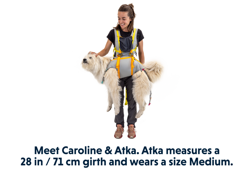Ruffwear BackTrak Dog Evacuation Kit