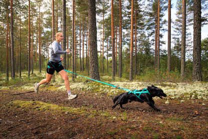 Non-stop dogwear CaniX Belt 2.0