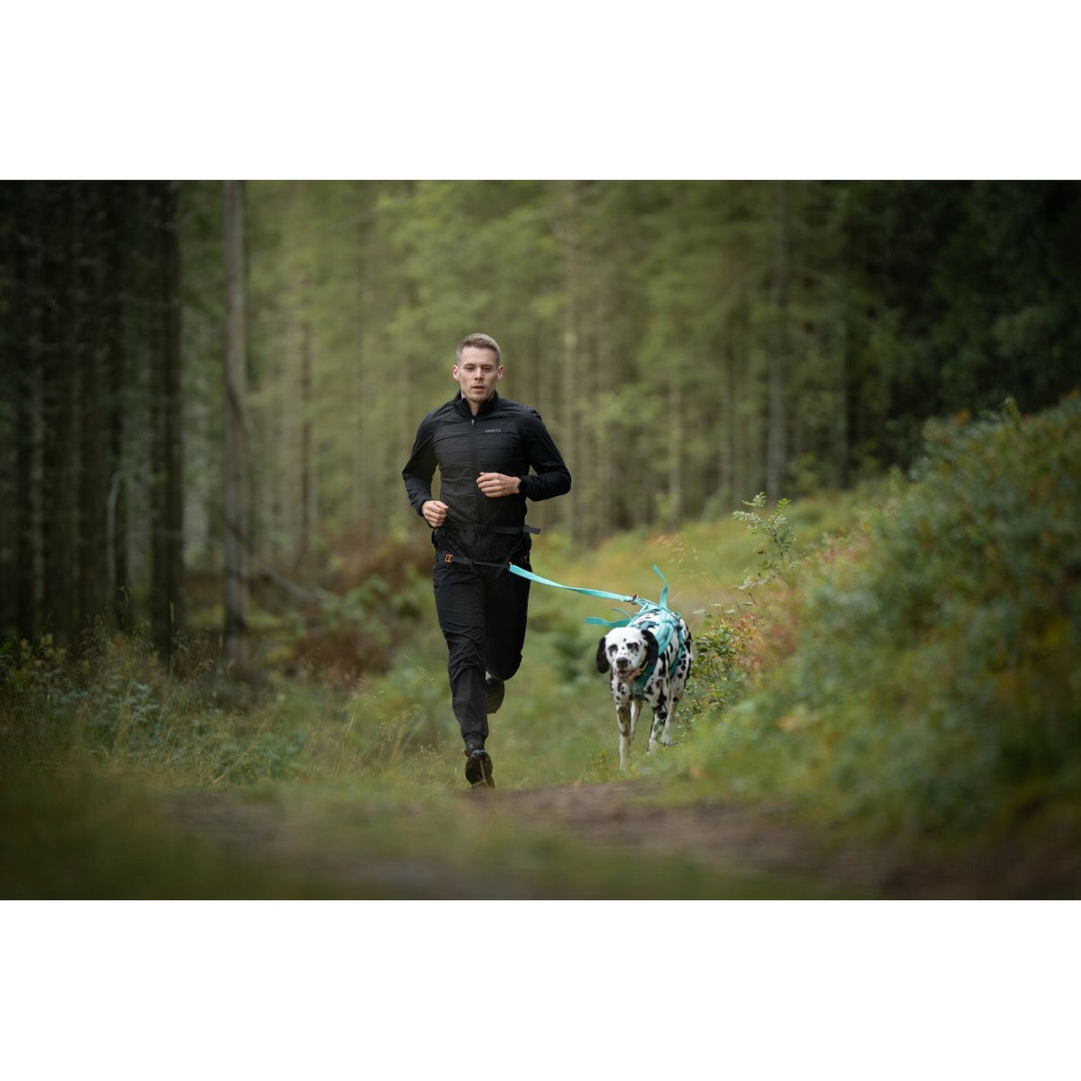 Mies juoksee dalmatiankoiran kanssa metsäpolulla Non-stop CaniX Belt 3.0 -vetovyö päällään