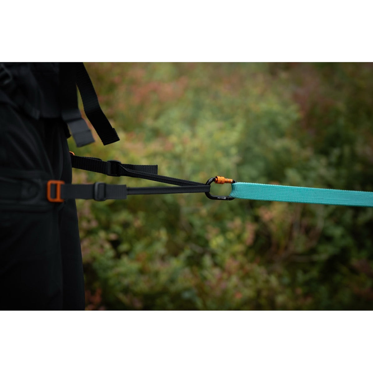 Non-stop dogwear CaniX belt 3.0