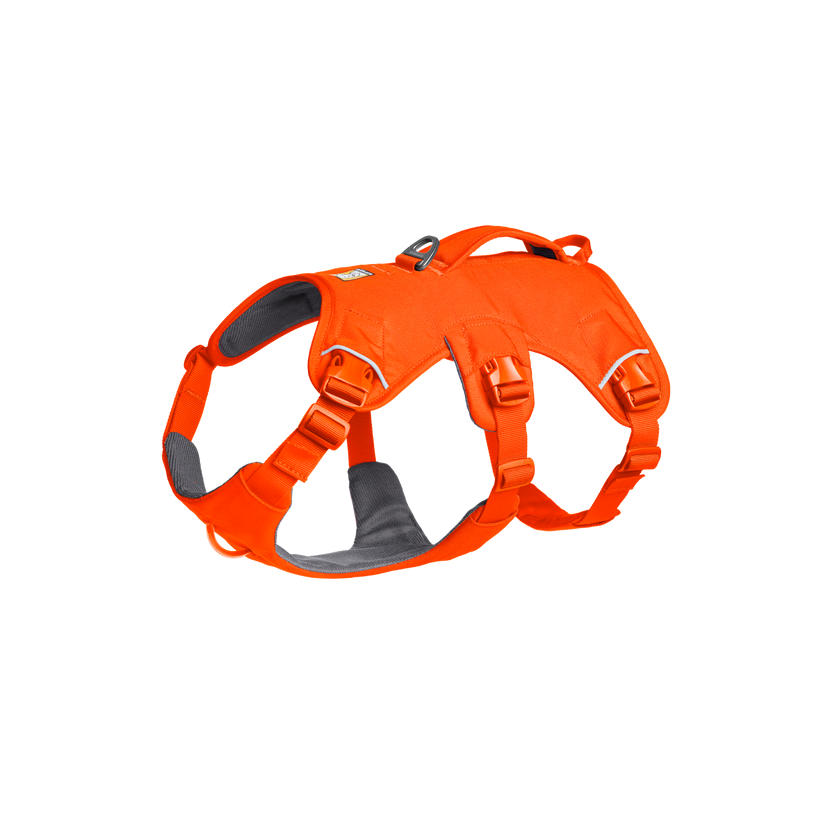 Ruffwear Web Master™ Dog Harness