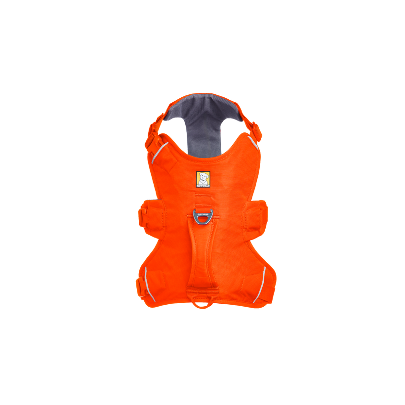 Ruffwear Web Master™ Dog Harness