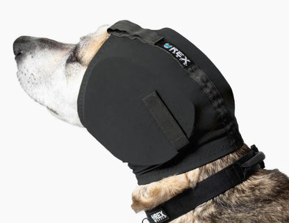 Rex Specs Ear Pro