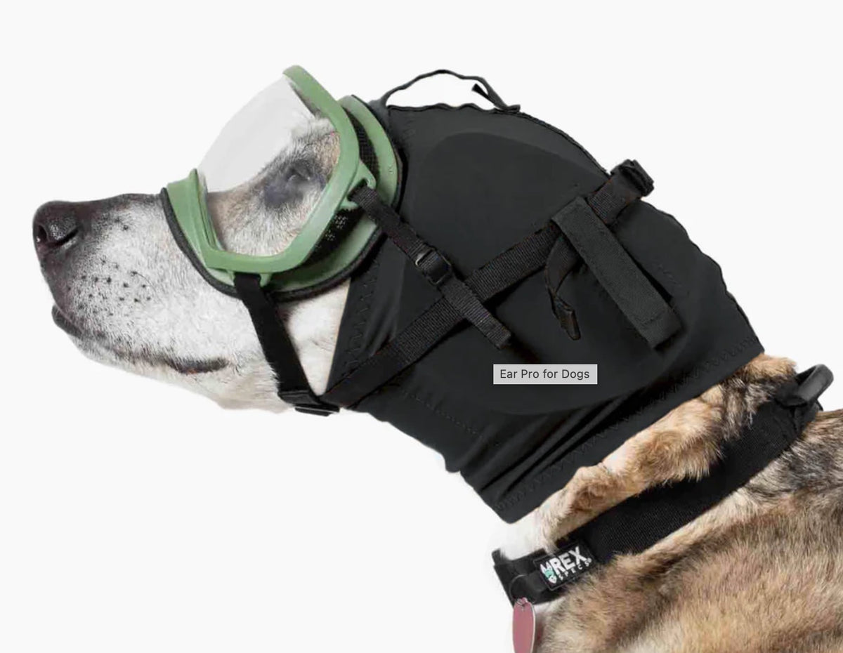 Rex Specs Ear Pro