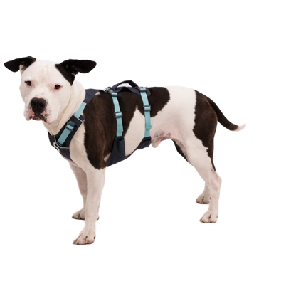Ruffwear Flagline Harness