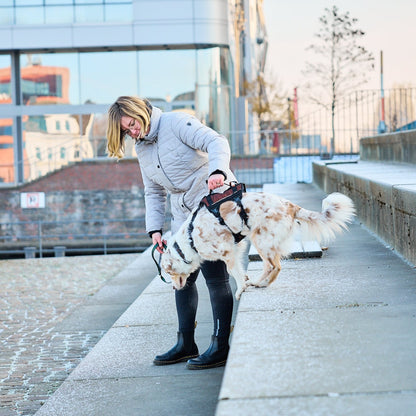 Non-stop dogwear Rock Harness Long