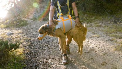 Ruffwear BackTrak Dog Evacuation Kit