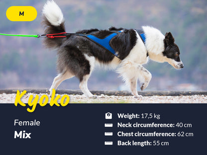 Axaeco Harness X-Shirt 2.0