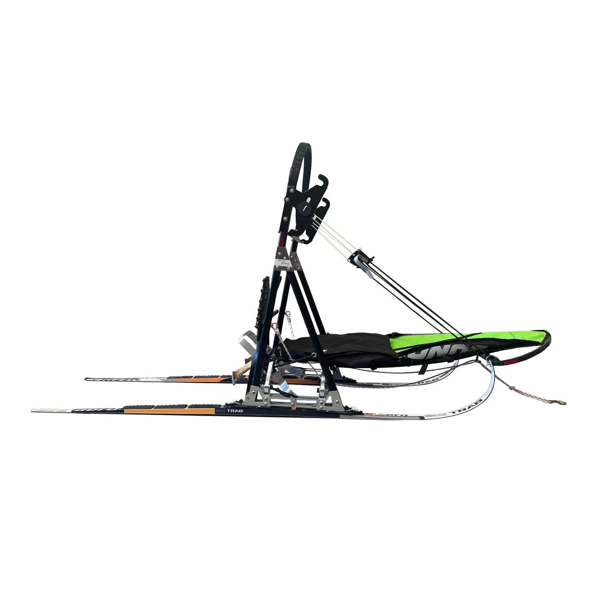 Axaeco Kungen Chronos
