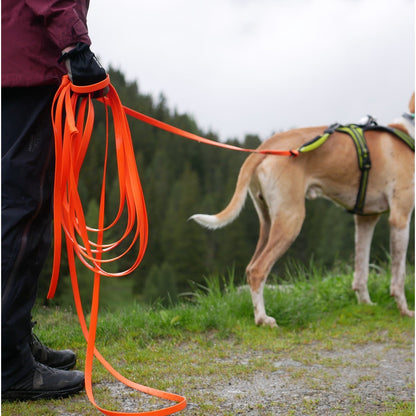 Axaeco Action Tracking Lead