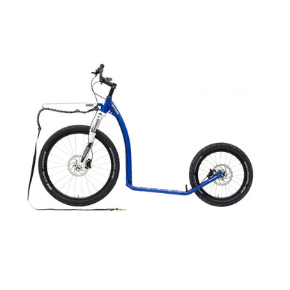 Kostka Mushing Max (G6)