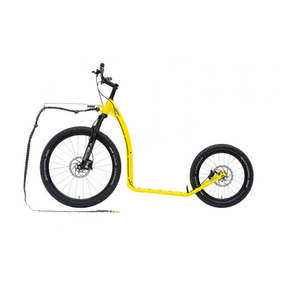 Kostka Mushing Max (G6)