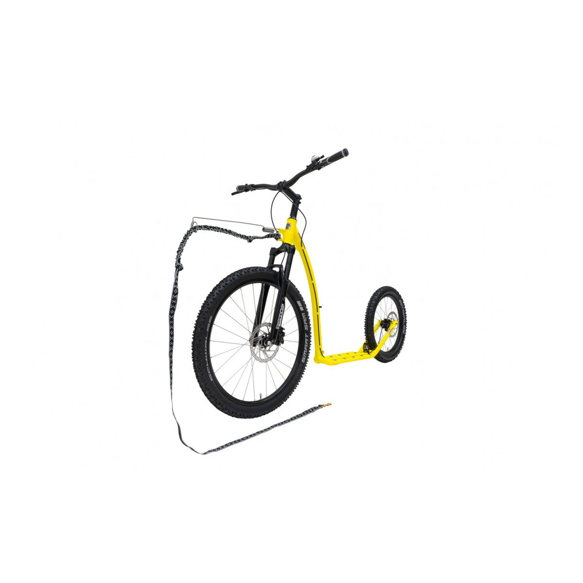 Kostka Mushing Max (G6)