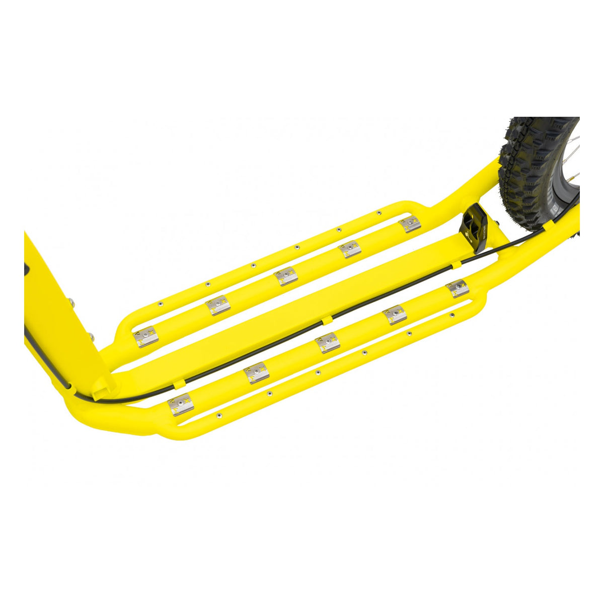 Kostka Mushing Max (G6)