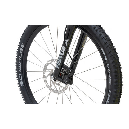 Kostka Mushing Max (G6)
