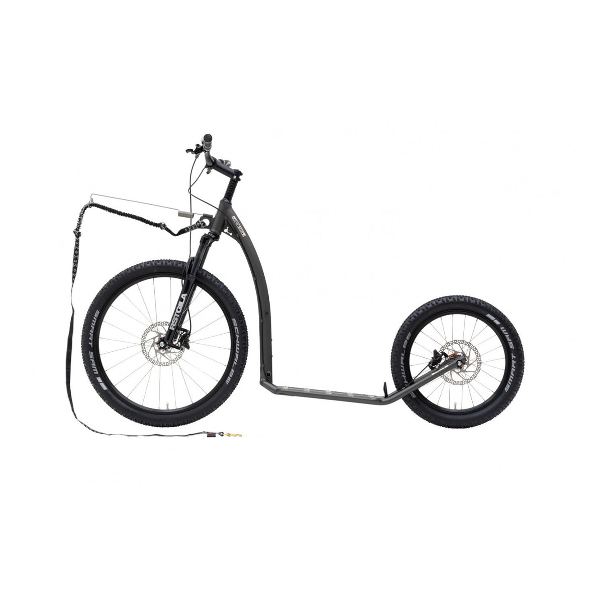 Kostka Mushing Max (G6)