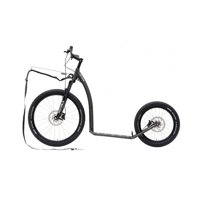 Kostka Mushing Max (G6)