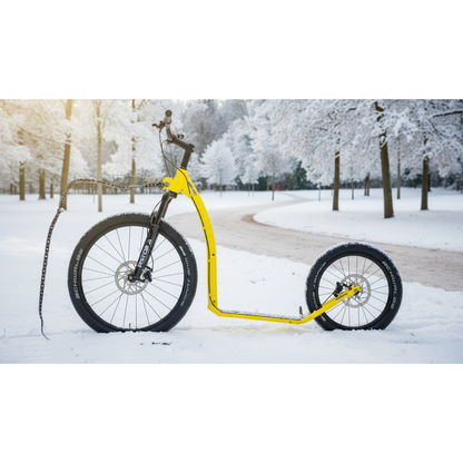 Kostka Mushing Max (G6)