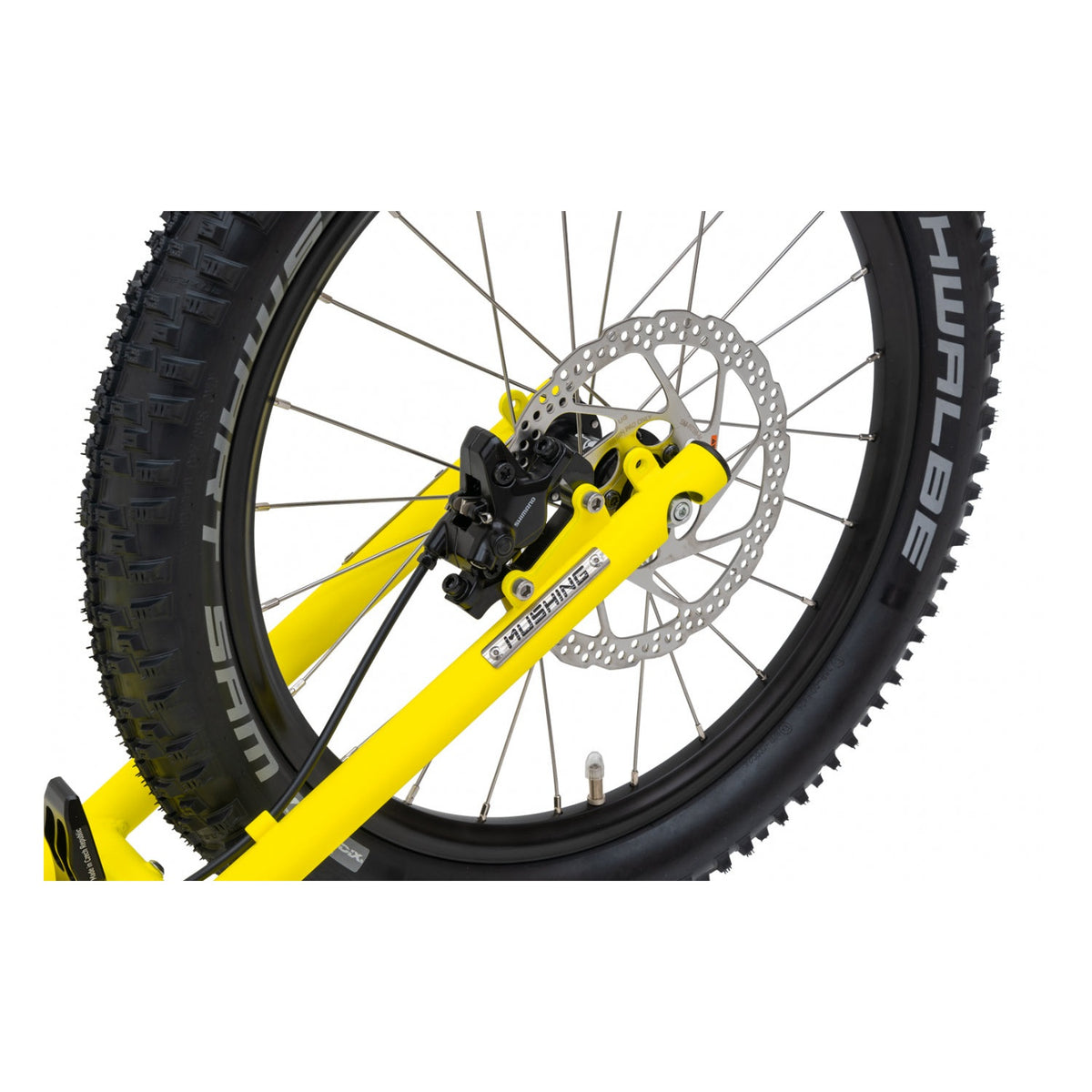 Kostka Mushing Max (G6)