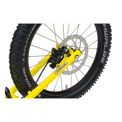 Kostka Mushing Max (G6)