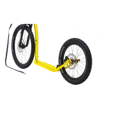 Kostka Mushing Max (G6)