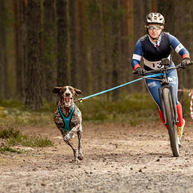 Inlandsis Bikejor Max vetoadapteri