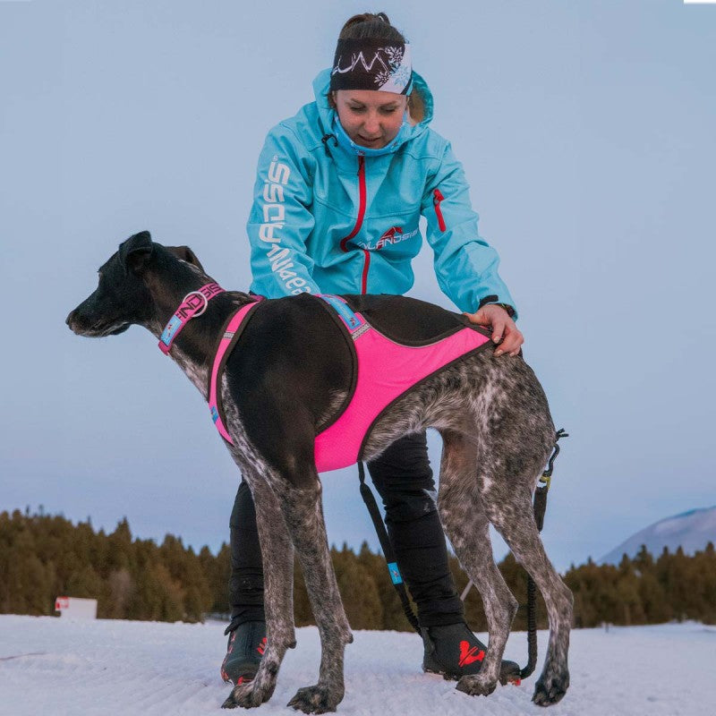 Inlandsis Blizzard Beast Harness V2 OUTLET