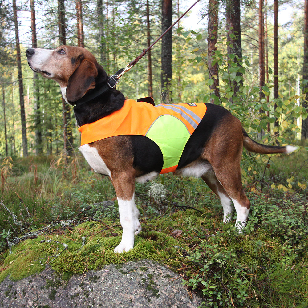 Kivalo Kajo dog visibility vest