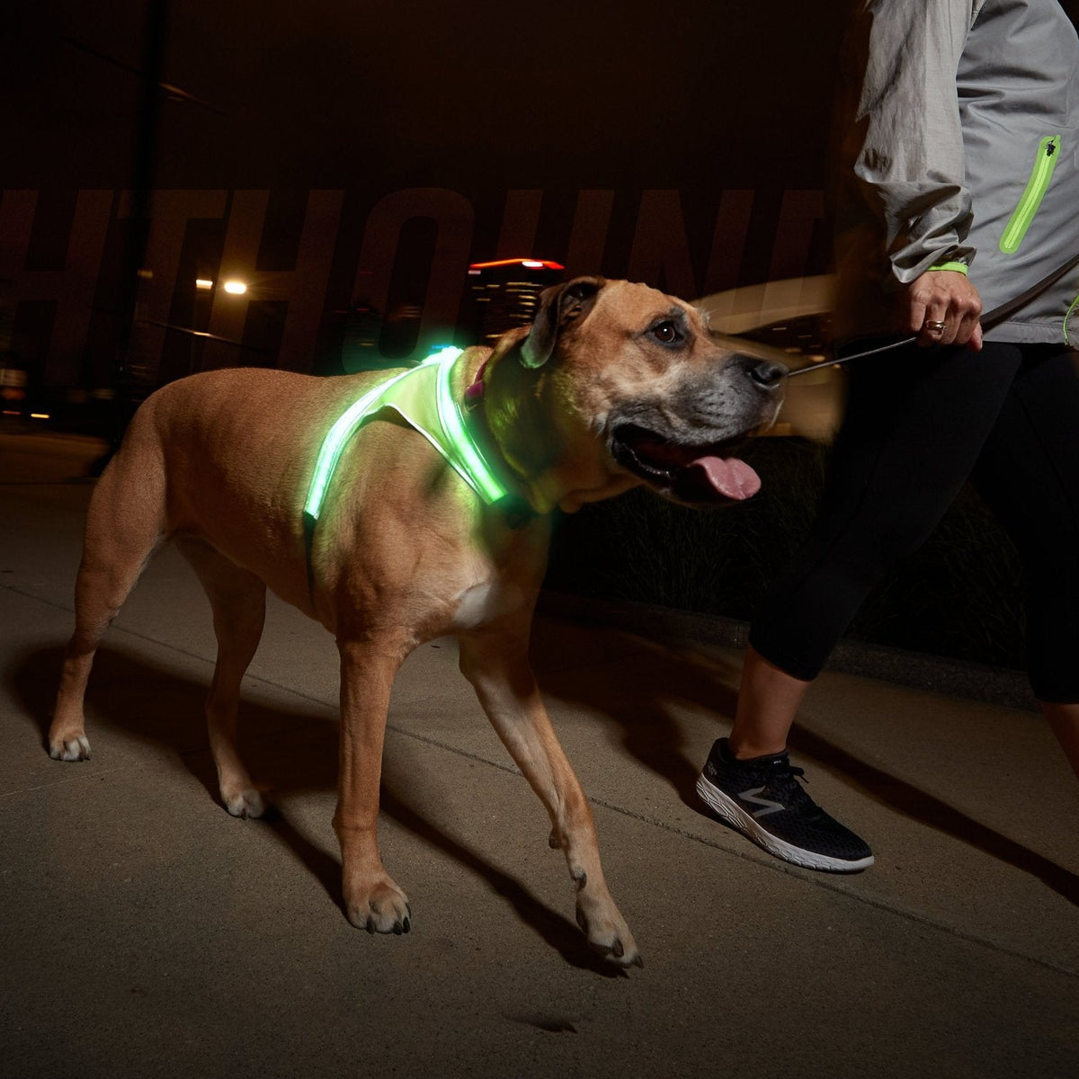 Noxgear Lighthound