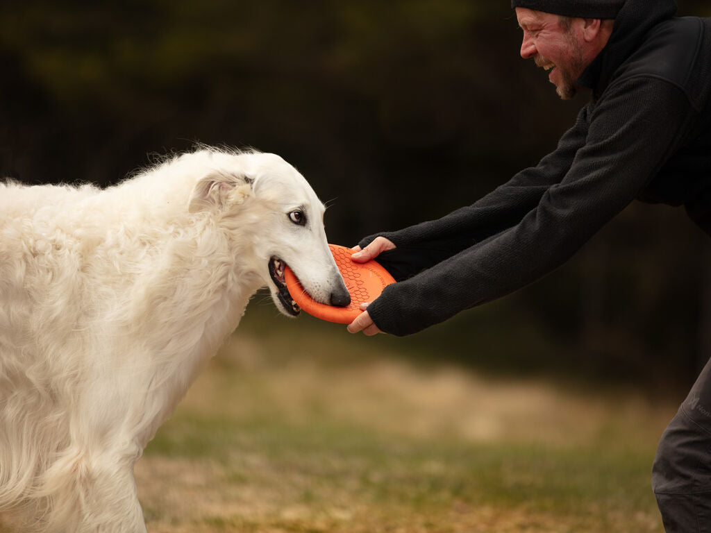 Non-stop dogwear Dog Flying Disc