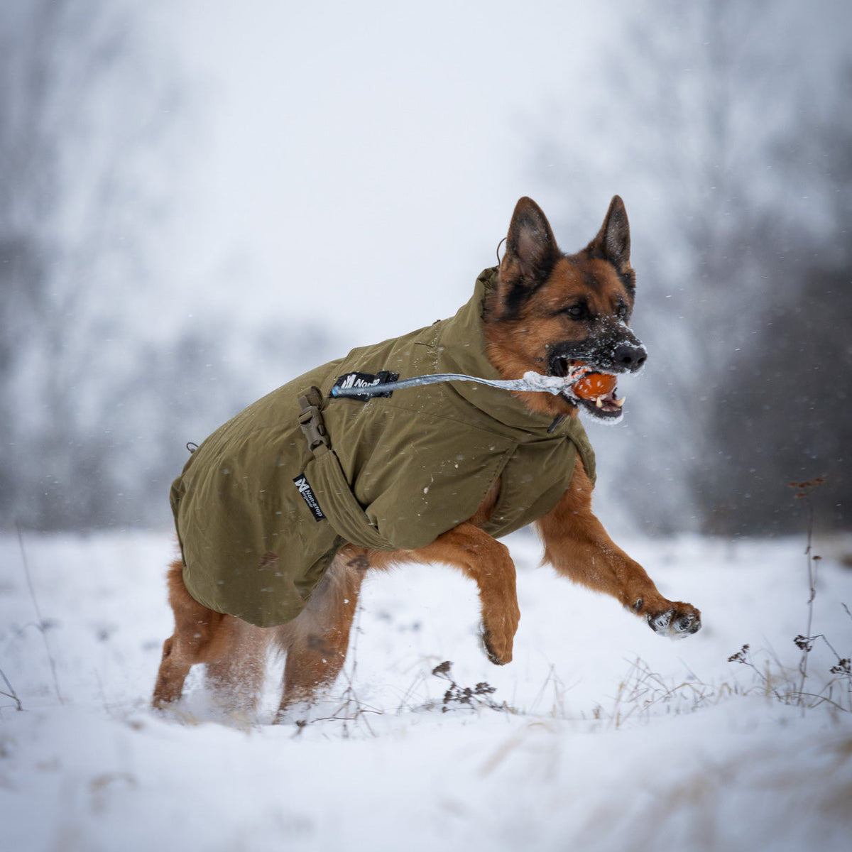 Non-stop dogwear Glacier Dog Jacket WD