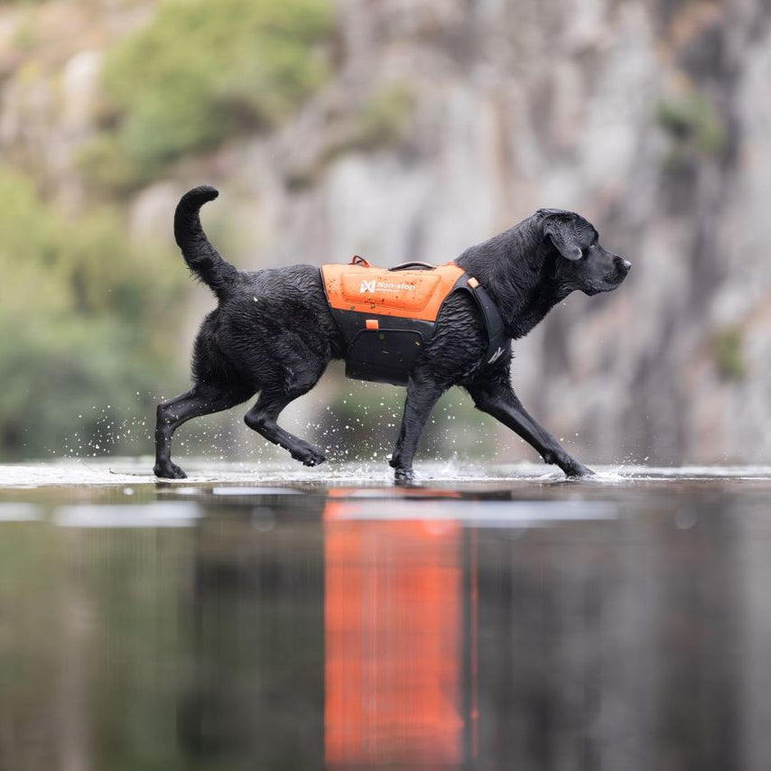 Non-stop dogwear Protector Neoprene Vest