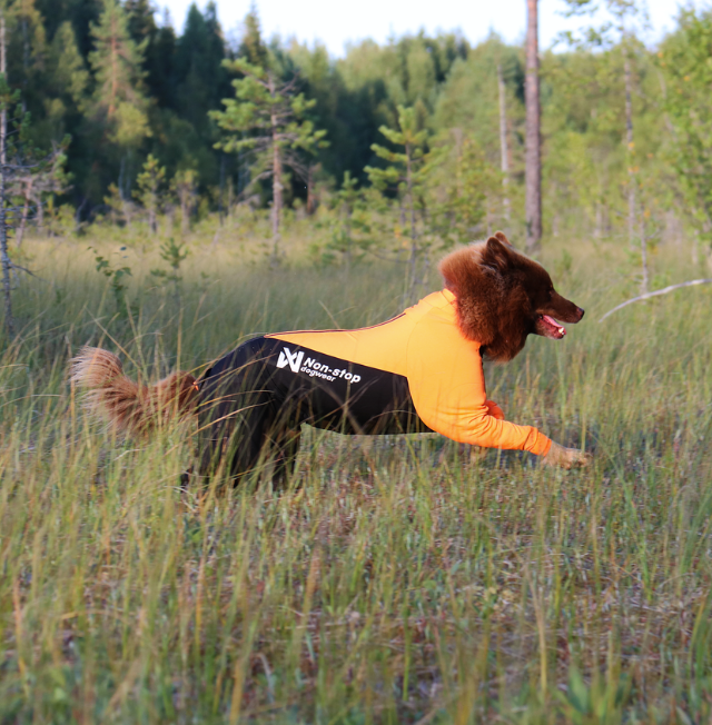 Non-stop dogwear Protector Suit
