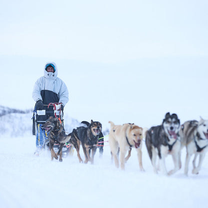 Non-stop dogwear Tundra anojakka 2.0
