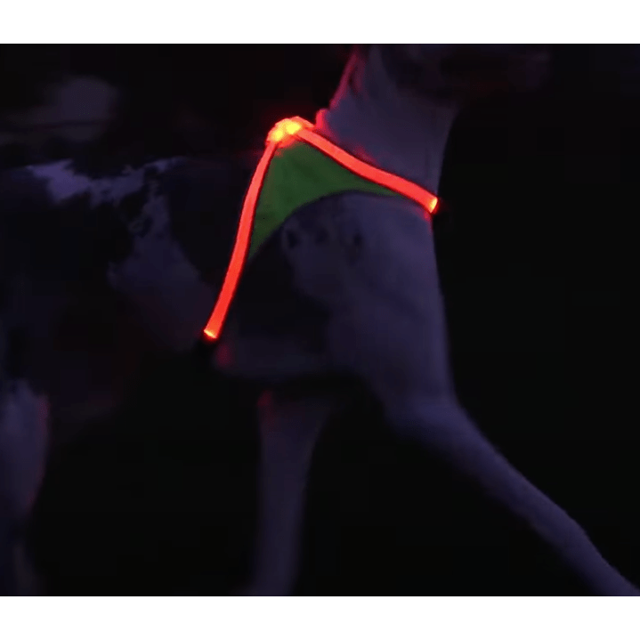 Noxgear Lighthound