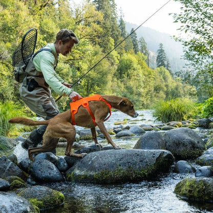 Ruffwear Web Master™ Dog Harness